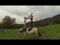 Büremarik 12.10.2014 (partie 1)