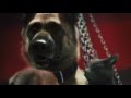 Comme chiens et chats - La Revanche de Kitty Galore - VF