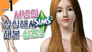 양띵TV서넹[오로라 스카이즈 체험하기 1편] The Sims3