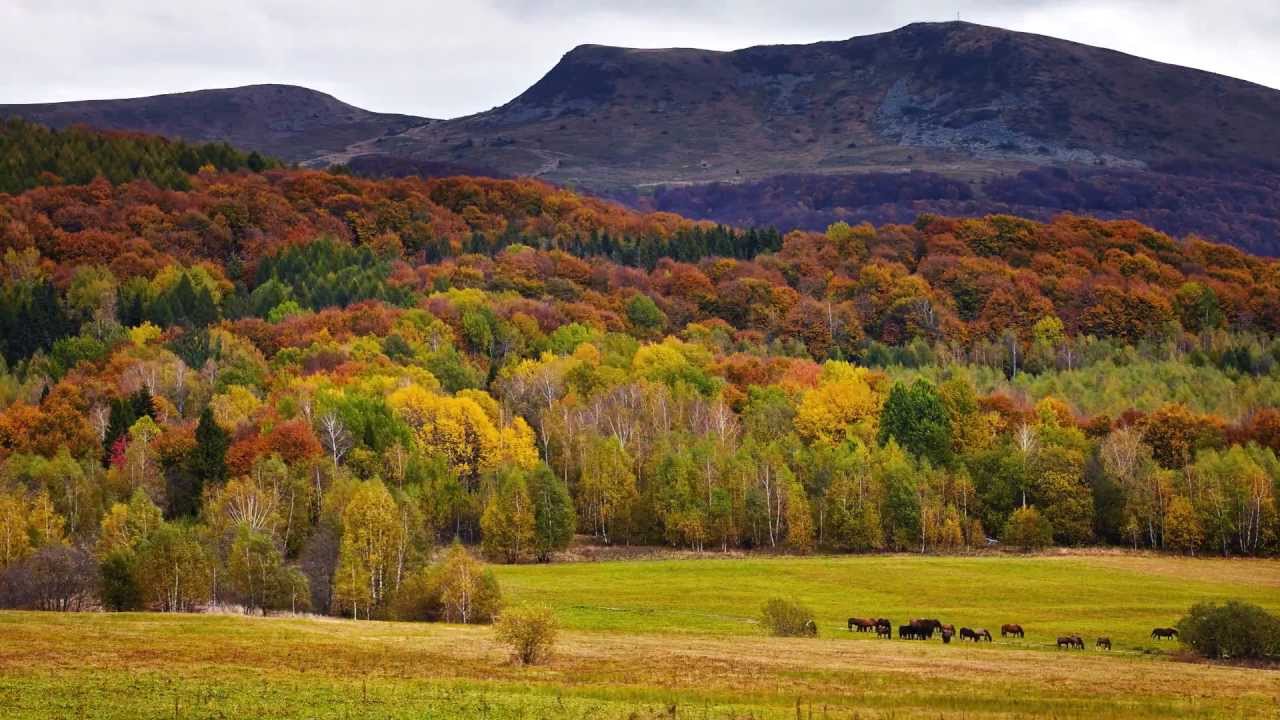 Bieszczady Jesienią | Kolorowe Szlaki - YouTube