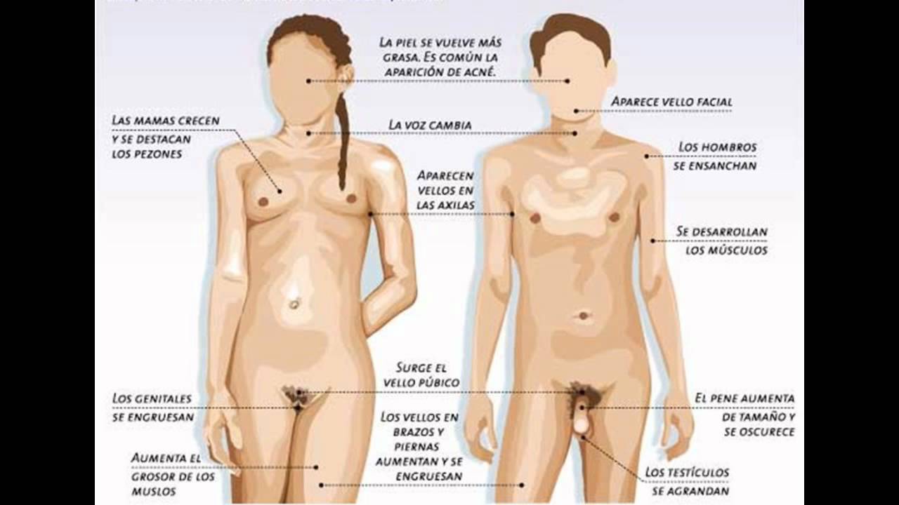 VAGINAS DE CHICAS DE 13 vaginas de chicas de 13:
