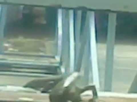 Phim+Khung+Long+an+Thit ... long an thit nguoi youtube 1280 x 720 jpeg 29kb an thit nguoi ghe