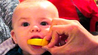 BABY REACTS TO LEMON!