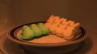 Peep in Microwave - Happy Easter Experiment