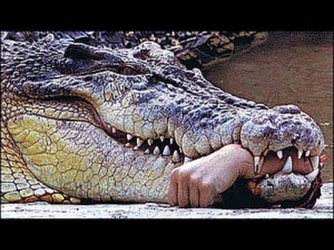 YOUTUBE CRAZY VIDEO youtube crazy video: