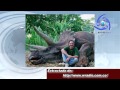 CURIOSA INDIGNACIÓN POR FOTO DE STEVEN SPIELBERG POSANDO CON