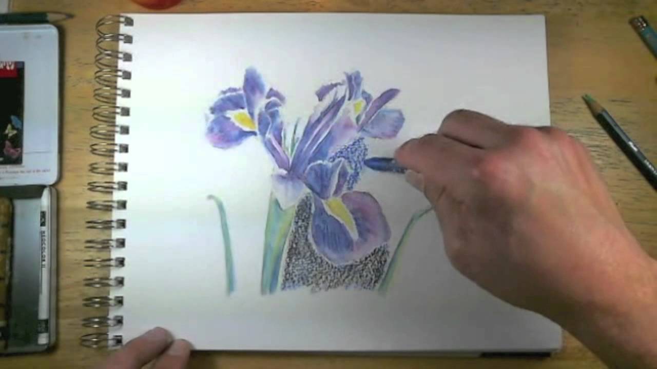 How to Draw with Watercolor Pencils - Live Lesson Excerpts - YouTube