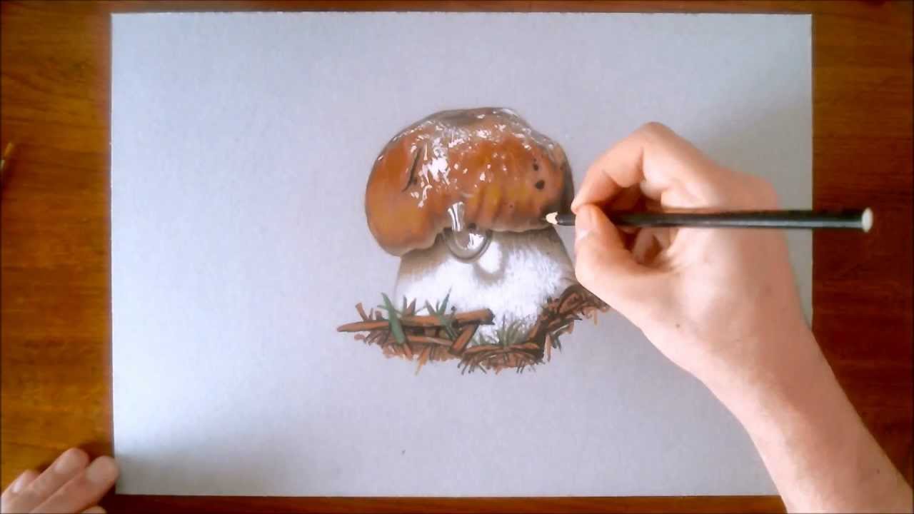 Mushroom realistic drawing - YouTube