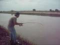 Dicas de pescarias - Sistema de pesca de Jundiás e Bagres em água doce, um nó simples e eficaz Dicas de pescarias - Sistema de pesca de Jundiás e Bagres em água doce, um nó simples e eficaz