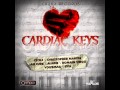 cardiac keys riddim mix 2013-dj remix 