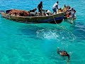 Belezas de Cabo Verde | Beauties of Cape Verde