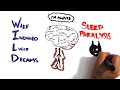 The Science of Lucid Dreaming