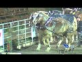 Tire de chevaux St-Antonin 2014 vidéos 5