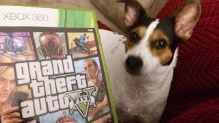 Dog HATES Grand Theft Auto!