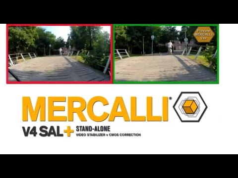 ProDAD Mercalli V5 SAL
