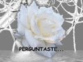 PERGUNTASTE (ISABEL ANTUNES)