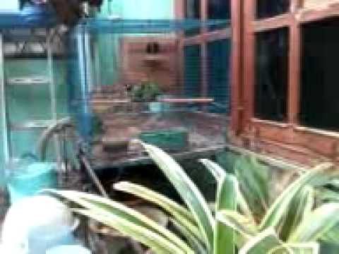 skandal mesum di tempat umum - YouTube