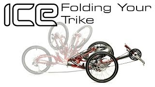 folding tadpole trike