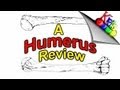 Humerus Bone Anatomy || Bony Landmarks Of The Humerus || By: Kinesiology Kris Humerus Bone Anatomy || Bony Landmarks Of The Humerus || By: Kinesiology Kris