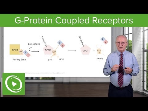 Download G-Protein Coupled Receptors (GPCRs) – Biochemistry | Lecturio