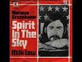 Norman Greenbaum - Spirit In The Sky