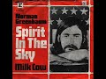 Norman Greenbaum - Spirit In The Sky