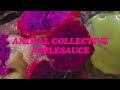 Animal Collective - Applesauce