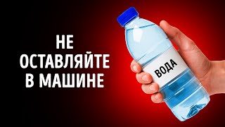 Советы по выживанию, чтобы оставаться в безопасности и быть готовыми к любой опасности