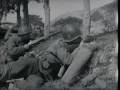 (8/11) Battlefield II Okinawa 8 of 11 World War II