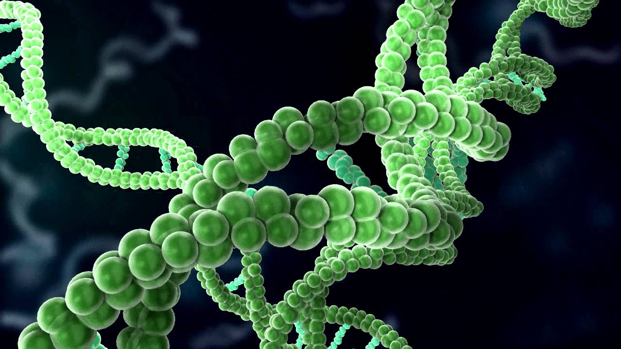 3D DNA Animation - YouTube