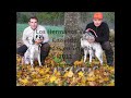 Thumbnail 1 for Cazando Becadas En Estonia Con Los Hermanos Vega 2011 Thumbnail 1 for Cazando Becadas En Estonia Con Los Hermanos Vega 2011