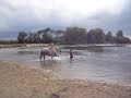 zwemmen met paard 2