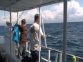 Deep Sea Fishing Myrtle Beach - Hurricane Fishing Fleet - Myrtle Beach  Fishing ChartersHurricane Fishing Fleet – Myrtle Beach Fishing Charters