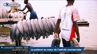 GABON - Lambaréné / DEBARCADERE D’ISAAC : Le poisson au coeur de l’activité commerciale