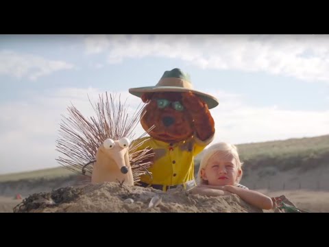 De Avonturen van Bollo'