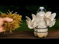 -  C?mo Cultivar Hongos en Botellas de Agua