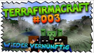 EXTREM "KONZENTRIERTES" ARBEITEN! D:- TerraFirmaCraft #03