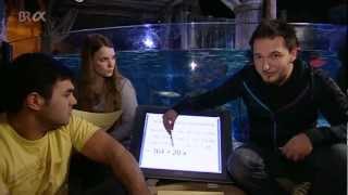 Folge 34: Terme | Aquarium