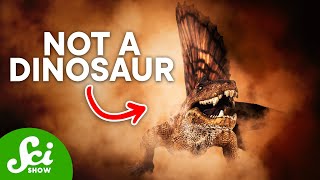 5 Animals That Aren't Dinosaurs