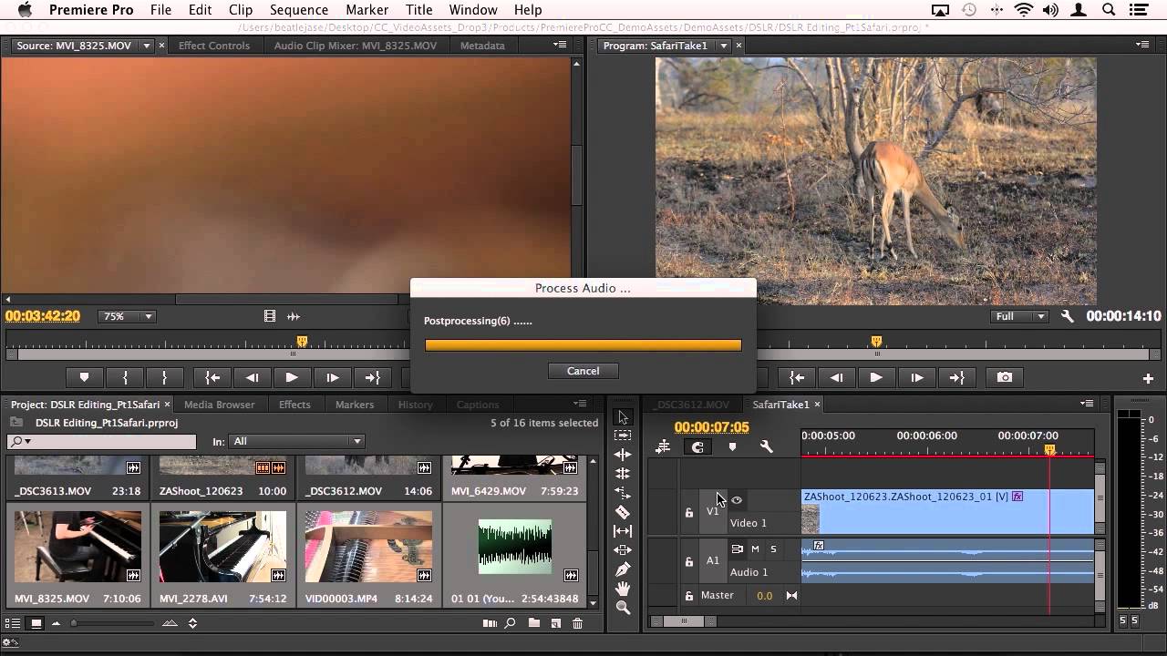 Adobe Media Encoder Audio Out Of Sync Adobe Media Encoder Audio Out Of Sync