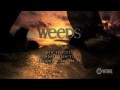 Weeds - Season 6 - Teaser - Youtube