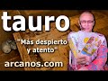 Video Horscopo Semanal TAURO  del 22 al 28 Diciembre 2024 (Semana 2024-52) (Lectura del Tarot)