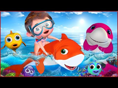 🔴 Baby Shark , Wheels on the Bus , Happy Birthday Song, Johny Johny Yes Papa - Banana Cartoon