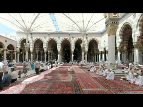 القرآن الكريم : سورة الشورى Quran Translation -Ghamdi: Ash-Shuraa : 42