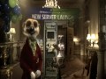 Funny New Compare The Meerkat Bloopers Out Take TV Advert LOL