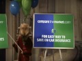 Funny New Compare The Meerkat Bloopers Out Take TV Advert LOL