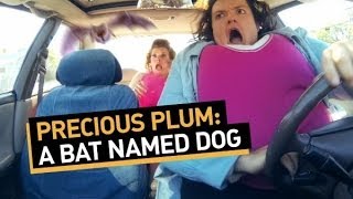 Precious Plum: A Bat Named Dog