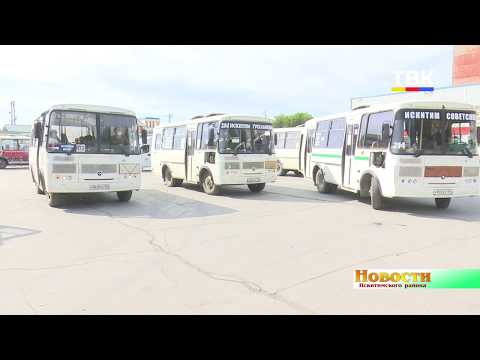 Автобусы Искитимского района вернулись к обычному расписанию движения