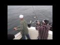 Swiftsure Bank salmon & halibut with Hindsight Fishing
