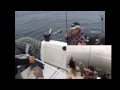 Swiftsure Bank salmon & halibut with Hindsight Fishing